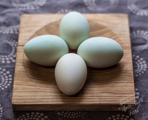 Three green and one white duck egg